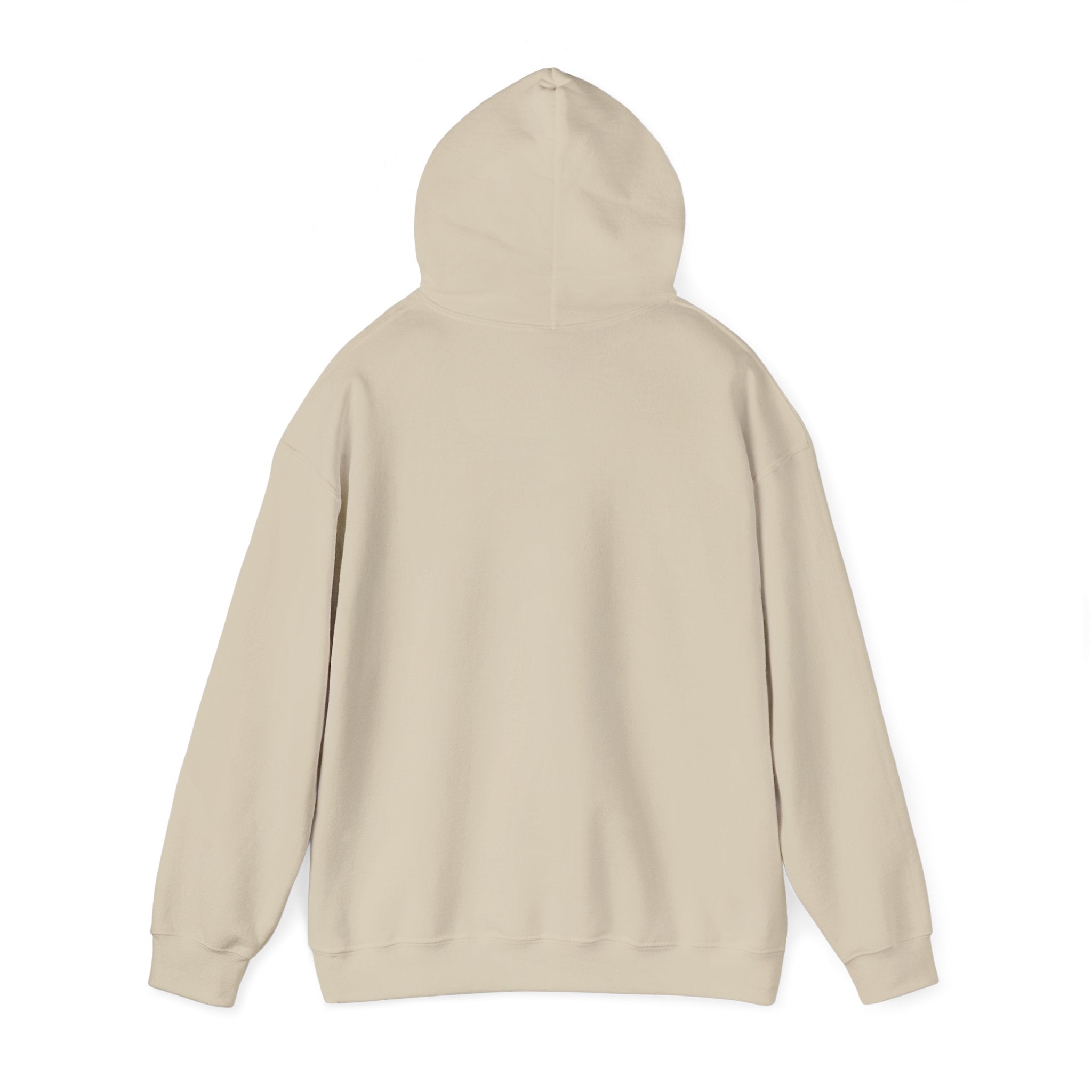 Mentally Unwell But Still Funny Hoodie | mental health humor, wellness sarcasm