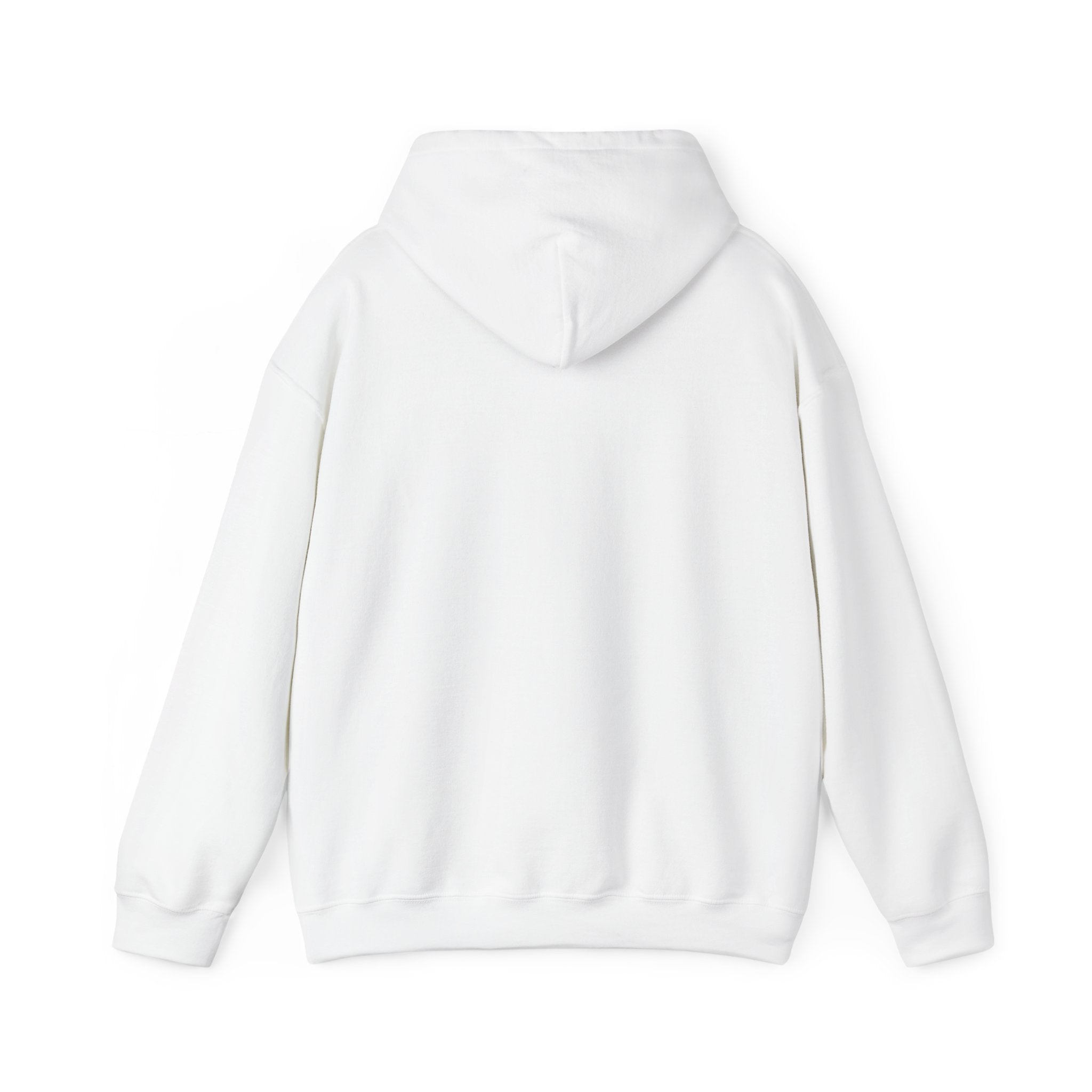 Mentally Unwell But Still Funny Hoodie | mental health humor, wellness sarcasm