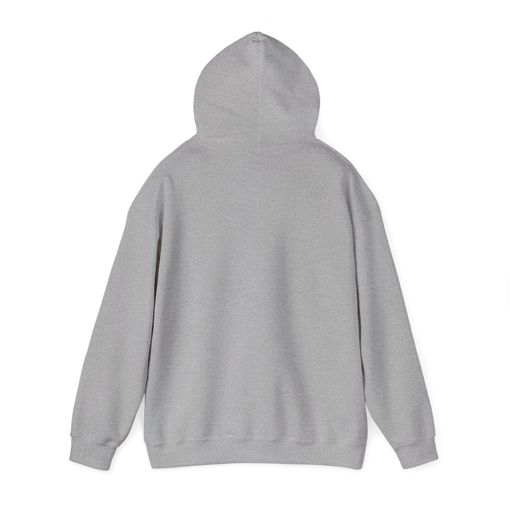 Mentally Unwell But Still Funny Hoodie | mental health humor, wellness sarcasm