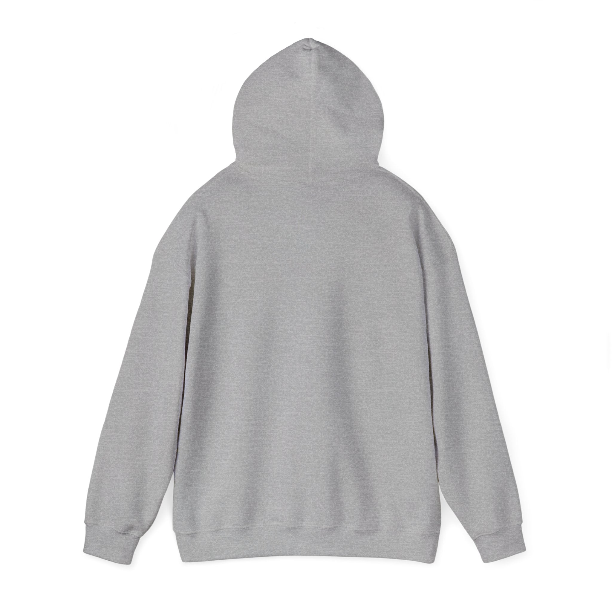 Mentally Unwell But Still Funny Hoodie | mental health humor, wellness sarcasm