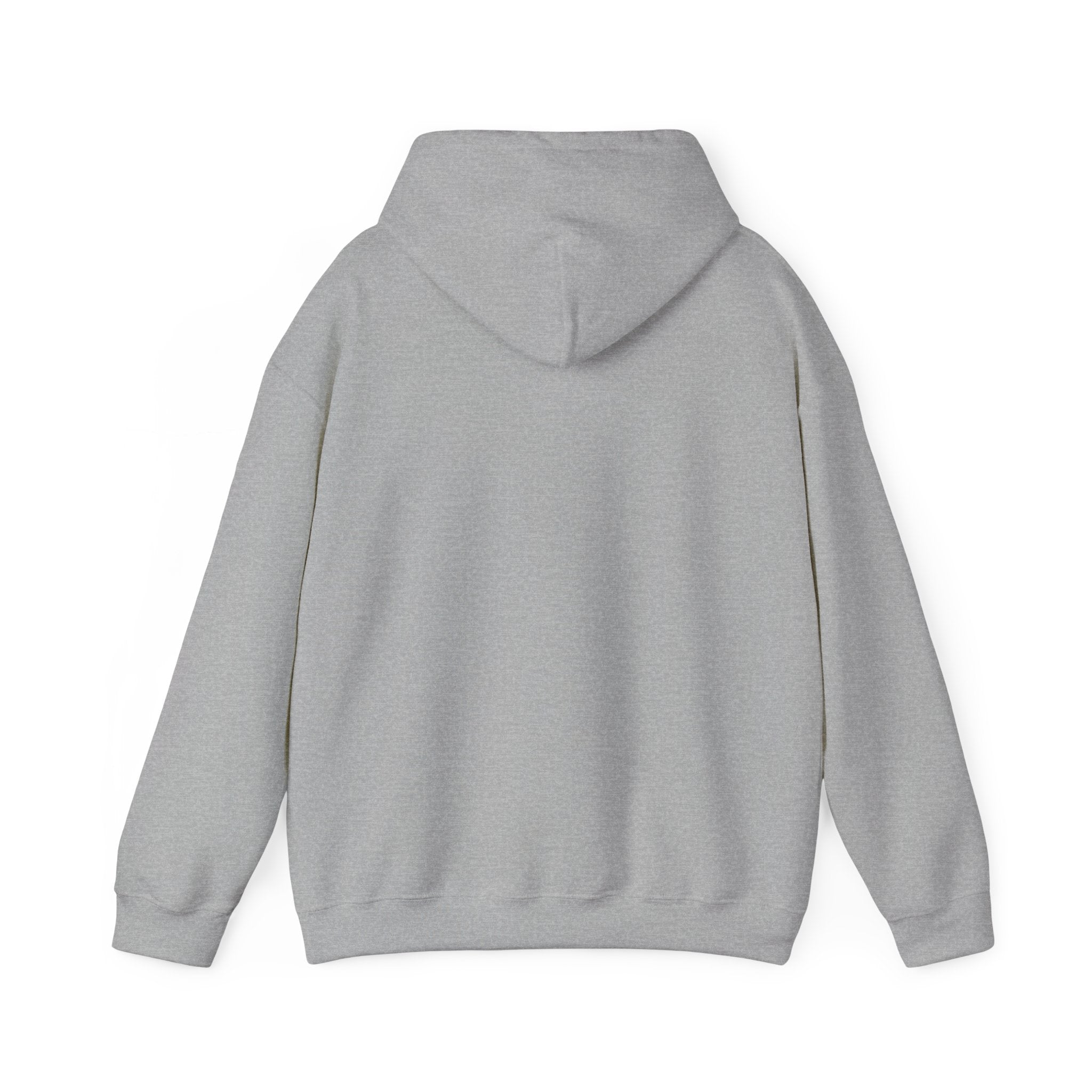 Mentally Unwell But Still Funny Hoodie | mental health humor, wellness sarcasm